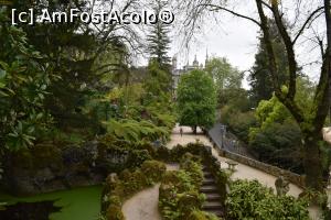 [P37] Quinta da Regaleira » foto by paulcta
 - 
<span class="allrVoted glyphicon glyphicon-heart hidden" id="av1064729"></span>
<a class="m-l-10 hidden" id="sv1064729" onclick="voting_Foto_DelVot(,1064729,21757)" role="button">șterge vot <span class="glyphicon glyphicon-remove"></span></a>
<a id="v91064729" class=" c-red"  onclick="voting_Foto_SetVot(1064729)" role="button"><span class="glyphicon glyphicon-heart-empty"></span> <b>LIKE</b> = Votează poza</a> <img class="hidden"  id="f1064729W9" src="/imagini/loader.gif" border="0" /><span class="AjErrMes hidden" id="e1064729ErM"></span>