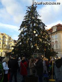 [P12] Praga - Piata de Craciun - Pomul » foto by Pragheza_Gotica
 - 
<span class="allrVoted glyphicon glyphicon-heart hidden" id="av485579"></span>
<a class="m-l-10 hidden" id="sv485579" onclick="voting_Foto_DelVot(,485579,21775)" role="button">șterge vot <span class="glyphicon glyphicon-remove"></span></a>
<a id="v9485579" class=" c-red"  onclick="voting_Foto_SetVot(485579)" role="button"><span class="glyphicon glyphicon-heart-empty"></span> <b>LIKE</b> = Votează poza</a> <img class="hidden"  id="f485579W9" src="/imagini/loader.gif" border="0" /><span class="AjErrMes hidden" id="e485579ErM"></span>