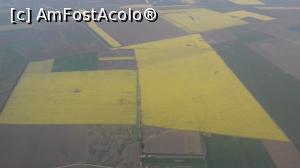 [P21] Covoare de rapiţă aproape de casă » foto by irinad
 - 
<span class="allrVoted glyphicon glyphicon-heart hidden" id="av961488"></span>
<a class="m-l-10 hidden" id="sv961488" onclick="voting_Foto_DelVot(,961488,21811)" role="button">șterge vot <span class="glyphicon glyphicon-remove"></span></a>
<a id="v9961488" class=" c-red"  onclick="voting_Foto_SetVot(961488)" role="button"><span class="glyphicon glyphicon-heart-empty"></span> <b>LIKE</b> = Votează poza</a> <img class="hidden"  id="f961488W9" src="/imagini/loader.gif" border="0" /><span class="AjErrMes hidden" id="e961488ErM"></span>