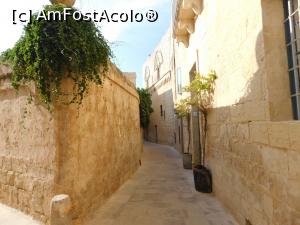 [P06] Mdina » foto by Rox.Patrik
 - 
<span class="allrVoted glyphicon glyphicon-heart hidden" id="av906010"></span>
<a class="m-l-10 hidden" id="sv906010" onclick="voting_Foto_DelVot(,906010,21813)" role="button">șterge vot <span class="glyphicon glyphicon-remove"></span></a>
<a id="v9906010" class=" c-red"  onclick="voting_Foto_SetVot(906010)" role="button"><span class="glyphicon glyphicon-heart-empty"></span> <b>LIKE</b> = Votează poza</a> <img class="hidden"  id="f906010W9" src="/imagini/loader.gif" border="0" /><span class="AjErrMes hidden" id="e906010ErM"></span>