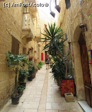 [P17] Strada in Birgu. Mai greu daca vii cu pianu' » foto by Radu Tudoran
 - 
<span class="allrVoted glyphicon glyphicon-heart hidden" id="av819625"></span>
<a class="m-l-10 hidden" id="sv819625" onclick="voting_Foto_DelVot(,819625,21814)" role="button">șterge vot <span class="glyphicon glyphicon-remove"></span></a>
<a id="v9819625" class=" c-red"  onclick="voting_Foto_SetVot(819625)" role="button"><span class="glyphicon glyphicon-heart-empty"></span> <b>LIKE</b> = Votează poza</a> <img class="hidden"  id="f819625W9" src="/imagini/loader.gif" border="0" /><span class="AjErrMes hidden" id="e819625ErM"></span>