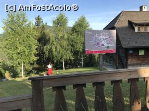 [P28] Chinezoaica pasăre » foto by krisstinna
 - 
<span class="allrVoted glyphicon glyphicon-heart hidden" id="av1119433"></span>
<a class="m-l-10 hidden" id="sv1119433" onclick="voting_Foto_DelVot(,1119433,21860)" role="button">șterge vot <span class="glyphicon glyphicon-remove"></span></a>
<a id="v91119433" class=" c-red"  onclick="voting_Foto_SetVot(1119433)" role="button"><span class="glyphicon glyphicon-heart-empty"></span> <b>LIKE</b> = Votează poza</a> <img class="hidden"  id="f1119433W9" src="/imagini/loader.gif" border="0" /><span class="AjErrMes hidden" id="e1119433ErM"></span>