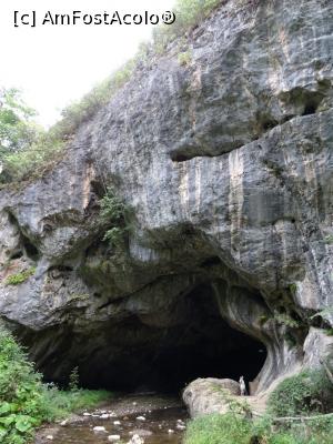 [P07] Portal intrare Peștera Bolii. » foto by tata123 🔱
 - 
<span class="allrVoted glyphicon glyphicon-heart hidden" id="av1268145"></span>
<a class="m-l-10 hidden" id="sv1268145" onclick="voting_Foto_DelVot(,1268145,21910)" role="button">șterge vot <span class="glyphicon glyphicon-remove"></span></a>
<a id="v91268145" class=" c-red"  onclick="voting_Foto_SetVot(1268145)" role="button"><span class="glyphicon glyphicon-heart-empty"></span> <b>LIKE</b> = Votează poza</a> <img class="hidden"  id="f1268145W9" src="/imagini/loader.gif" border="0" /><span class="AjErrMes hidden" id="e1268145ErM"></span>
