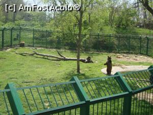 [P16] Un Moș Martin stă în două labe, în așteptarea prânzului care avea să-i fie servit în curând.  » foto by Floryn81
 - 
<span class="allrVoted glyphicon glyphicon-heart hidden" id="av857527"></span>
<a class="m-l-10 hidden" id="sv857527" onclick="voting_Foto_DelVot(,857527,21944)" role="button">șterge vot <span class="glyphicon glyphicon-remove"></span></a>
<a id="v9857527" class=" c-red"  onclick="voting_Foto_SetVot(857527)" role="button"><span class="glyphicon glyphicon-heart-empty"></span> <b>LIKE</b> = Votează poza</a> <img class="hidden"  id="f857527W9" src="/imagini/loader.gif" border="0" /><span class="AjErrMes hidden" id="e857527ErM"></span>