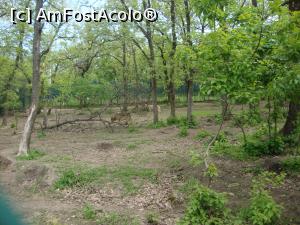 [P21] Acesta este țarcul lupilor, pe care îi puteți observa dacă priviți cu atenție.  » foto by Floryn81
 - 
<span class="allrVoted glyphicon glyphicon-heart hidden" id="av857532"></span>
<a class="m-l-10 hidden" id="sv857532" onclick="voting_Foto_DelVot(,857532,21944)" role="button">șterge vot <span class="glyphicon glyphicon-remove"></span></a>
<a id="v9857532" class=" c-red"  onclick="voting_Foto_SetVot(857532)" role="button"><span class="glyphicon glyphicon-heart-empty"></span> <b>LIKE</b> = Votează poza</a> <img class="hidden"  id="f857532W9" src="/imagini/loader.gif" border="0" /><span class="AjErrMes hidden" id="e857532ErM"></span>