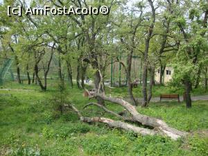 [P22] La plimbare pe aleile grădinii zoologice, îndreptându-ne către alte animale găzduite aici.  » foto by Floryn81
 - 
<span class="allrVoted glyphicon glyphicon-heart hidden" id="av857533"></span>
<a class="m-l-10 hidden" id="sv857533" onclick="voting_Foto_DelVot(,857533,21944)" role="button">șterge vot <span class="glyphicon glyphicon-remove"></span></a>
<a id="v9857533" class=" c-red"  onclick="voting_Foto_SetVot(857533)" role="button"><span class="glyphicon glyphicon-heart-empty"></span> <b>LIKE</b> = Votează poza</a> <img class="hidden"  id="f857533W9" src="/imagini/loader.gif" border="0" /><span class="AjErrMes hidden" id="e857533ErM"></span>