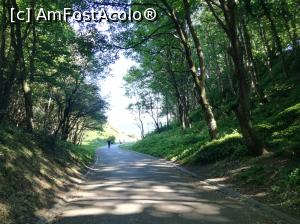 [P13] Drumul spre plaja » foto by Irina banica
 - 
<span class="allrVoted glyphicon glyphicon-heart hidden" id="av859018"></span>
<a class="m-l-10 hidden" id="sv859018" onclick="voting_Foto_DelVot(,859018,21965)" role="button">șterge vot <span class="glyphicon glyphicon-remove"></span></a>
<a id="v9859018" class=" c-red"  onclick="voting_Foto_SetVot(859018)" role="button"><span class="glyphicon glyphicon-heart-empty"></span> <b>LIKE</b> = Votează poza</a> <img class="hidden"  id="f859018W9" src="/imagini/loader.gif" border="0" /><span class="AjErrMes hidden" id="e859018ErM"></span>