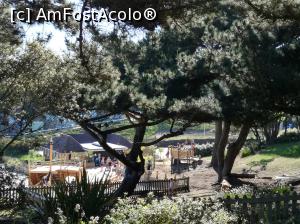 [P15] Loc de joaca pentru cei mici » foto by Irina banica
 - 
<span class="allrVoted glyphicon glyphicon-heart hidden" id="av859021"></span>
<a class="m-l-10 hidden" id="sv859021" onclick="voting_Foto_DelVot(,859021,21965)" role="button">șterge vot <span class="glyphicon glyphicon-remove"></span></a>
<a id="v9859021" class=" c-red"  onclick="voting_Foto_SetVot(859021)" role="button"><span class="glyphicon glyphicon-heart-empty"></span> <b>LIKE</b> = Votează poza</a> <img class="hidden"  id="f859021W9" src="/imagini/loader.gif" border="0" /><span class="AjErrMes hidden" id="e859021ErM"></span>