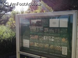 [P16]  -- <small>// FĂRĂ DESCRIERE</small> » foto by Irina banica
 - 
<span class="allrVoted glyphicon glyphicon-heart hidden" id="av859028"></span>
<a class="m-l-10 hidden" id="sv859028" onclick="voting_Foto_DelVot(,859028,21965)" role="button">șterge vot <span class="glyphicon glyphicon-remove"></span></a>
<a id="v9859028" class=" c-red"  onclick="voting_Foto_SetVot(859028)" role="button"><span class="glyphicon glyphicon-heart-empty"></span> <b>LIKE</b> = Votează poza</a> <img class="hidden"  id="f859028W9" src="/imagini/loader.gif" border="0" /><span class="AjErrMes hidden" id="e859028ErM"></span>