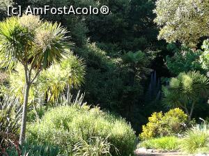 [P02] Alum Chine Tropical Gardens » foto by Irina banica
 - 
<span class="allrVoted glyphicon glyphicon-heart hidden" id="av859003"></span>
<a class="m-l-10 hidden" id="sv859003" onclick="voting_Foto_DelVot(,859003,21965)" role="button">șterge vot <span class="glyphicon glyphicon-remove"></span></a>
<a id="v9859003" class=" c-red"  onclick="voting_Foto_SetVot(859003)" role="button"><span class="glyphicon glyphicon-heart-empty"></span> <b>LIKE</b> = Votează poza</a> <img class="hidden"  id="f859003W9" src="/imagini/loader.gif" border="0" /><span class="AjErrMes hidden" id="e859003ErM"></span>