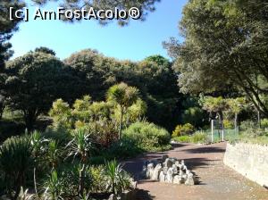 [P04] Alum Chine Tropical Gardens » foto by Irina banica
 - 
<span class="allrVoted glyphicon glyphicon-heart hidden" id="av859006"></span>
<a class="m-l-10 hidden" id="sv859006" onclick="voting_Foto_DelVot(,859006,21965)" role="button">șterge vot <span class="glyphicon glyphicon-remove"></span></a>
<a id="v9859006" class=" c-red"  onclick="voting_Foto_SetVot(859006)" role="button"><span class="glyphicon glyphicon-heart-empty"></span> <b>LIKE</b> = Votează poza</a> <img class="hidden"  id="f859006W9" src="/imagini/loader.gif" border="0" /><span class="AjErrMes hidden" id="e859006ErM"></span>