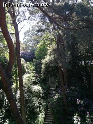 [P06] Alum Chine Tropical Gardens » foto by Irina banica
 - 
<span class="allrVoted glyphicon glyphicon-heart hidden" id="av859009"></span>
<a class="m-l-10 hidden" id="sv859009" onclick="voting_Foto_DelVot(,859009,21965)" role="button">șterge vot <span class="glyphicon glyphicon-remove"></span></a>
<a id="v9859009" class=" c-red"  onclick="voting_Foto_SetVot(859009)" role="button"><span class="glyphicon glyphicon-heart-empty"></span> <b>LIKE</b> = Votează poza</a> <img class="hidden"  id="f859009W9" src="/imagini/loader.gif" border="0" /><span class="AjErrMes hidden" id="e859009ErM"></span>