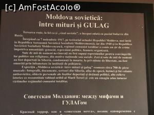 [P22] Muzeul National de Istorie al Moldovei – o ora de istorie in Chisinau » foto by Dan&Ema
 - 
<span class="allrVoted glyphicon glyphicon-heart hidden" id="av1035960"></span>
<a class="m-l-10 hidden" id="sv1035960" onclick="voting_Foto_DelVot(,1035960,21975)" role="button">șterge vot <span class="glyphicon glyphicon-remove"></span></a>
<a id="v91035960" class=" c-red"  onclick="voting_Foto_SetVot(1035960)" role="button"><span class="glyphicon glyphicon-heart-empty"></span> <b>LIKE</b> = Votează poza</a> <img class="hidden"  id="f1035960W9" src="/imagini/loader.gif" border="0" /><span class="AjErrMes hidden" id="e1035960ErM"></span>