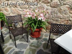 [P09] Delphi - taverna To Patriko Mas » foto by Cris
 - 
<span class="allrVoted glyphicon glyphicon-heart hidden" id="av867473"></span>
<a class="m-l-10 hidden" id="sv867473" onclick="voting_Foto_DelVot(,867473,22104)" role="button">șterge vot <span class="glyphicon glyphicon-remove"></span></a>
<a id="v9867473" class=" c-red"  onclick="voting_Foto_SetVot(867473)" role="button"><span class="glyphicon glyphicon-heart-empty"></span> <b>LIKE</b> = Votează poza</a> <img class="hidden"  id="f867473W9" src="/imagini/loader.gif" border="0" /><span class="AjErrMes hidden" id="e867473ErM"></span>