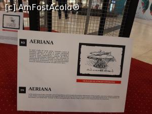 [P19] Expoziția &bdquo;Geniul da Vinci&rdquo; » foto by adso
 - 
<span class="allrVoted glyphicon glyphicon-heart hidden" id="av1232243"></span>
<a class="m-l-10 hidden" id="sv1232243" onclick="voting_Foto_DelVot(,1232243,22163)" role="button">șterge vot <span class="glyphicon glyphicon-remove"></span></a>
<a id="v91232243" class=" c-red"  onclick="voting_Foto_SetVot(1232243)" role="button"><span class="glyphicon glyphicon-heart-empty"></span> <b>LIKE</b> = Votează poza</a> <img class="hidden"  id="f1232243W9" src="/imagini/loader.gif" border="0" /><span class="AjErrMes hidden" id="e1232243ErM"></span>