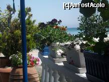 [P26] flori si mare la Korali » foto by sandu.53
 - 
<span class="allrVoted glyphicon glyphicon-heart hidden" id="av210780"></span>
<a class="m-l-10 hidden" id="sv210780" onclick="voting_Foto_DelVot(,210780,22302)" role="button">șterge vot <span class="glyphicon glyphicon-remove"></span></a>
<a id="v9210780" class=" c-red"  onclick="voting_Foto_SetVot(210780)" role="button"><span class="glyphicon glyphicon-heart-empty"></span> <b>LIKE</b> = Votează poza</a> <img class="hidden"  id="f210780W9" src="/imagini/loader.gif" border="0" /><span class="AjErrMes hidden" id="e210780ErM"></span>