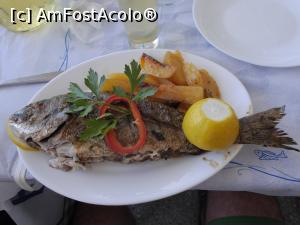 [P10] Dorada - Lykos » foto by Cristofor
 - 
<span class="allrVoted glyphicon glyphicon-heart hidden" id="av884356"></span>
<a class="m-l-10 hidden" id="sv884356" onclick="voting_Foto_DelVot(,884356,22305)" role="button">șterge vot <span class="glyphicon glyphicon-remove"></span></a>
<a id="v9884356" class=" c-red"  onclick="voting_Foto_SetVot(884356)" role="button"><span class="glyphicon glyphicon-heart-empty"></span> <b>LIKE</b> = Votează poza</a> <img class="hidden"  id="f884356W9" src="/imagini/loader.gif" border="0" /><span class="AjErrMes hidden" id="e884356ErM"></span>