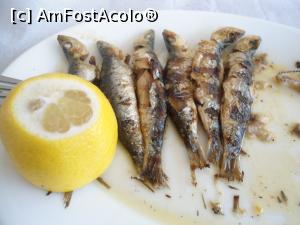 [P07] Anchovies la Lykos... sau ce a mai ramas » foto by Cristofor
 - 
<span class="allrVoted glyphicon glyphicon-heart hidden" id="av884353"></span>
<a class="m-l-10 hidden" id="sv884353" onclick="voting_Foto_DelVot(,884353,22305)" role="button">șterge vot <span class="glyphicon glyphicon-remove"></span></a>
<a id="v9884353" class=" c-red"  onclick="voting_Foto_SetVot(884353)" role="button"><span class="glyphicon glyphicon-heart-empty"></span> <b>LIKE</b> = Votează poza</a> <img class="hidden"  id="f884353W9" src="/imagini/loader.gif" border="0" /><span class="AjErrMes hidden" id="e884353ErM"></span>