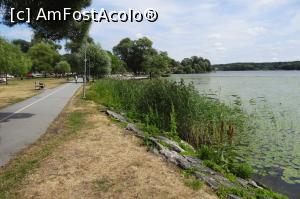 [P20] Promenada pe malul lacului » foto by BOGDAN DSN
 - 
<span class="allrVoted glyphicon glyphicon-heart hidden" id="av1059009"></span>
<a class="m-l-10 hidden" id="sv1059009" onclick="voting_Foto_DelVot(,1059009,22348)" role="button">șterge vot <span class="glyphicon glyphicon-remove"></span></a>
<a id="v91059009" class=" c-red"  onclick="voting_Foto_SetVot(1059009)" role="button"><span class="glyphicon glyphicon-heart-empty"></span> <b>LIKE</b> = Votează poza</a> <img class="hidden"  id="f1059009W9" src="/imagini/loader.gif" border="0" /><span class="AjErrMes hidden" id="e1059009ErM"></span>