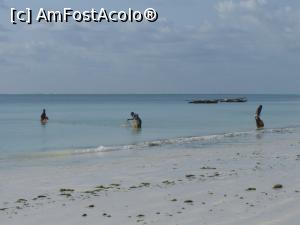 [P21] Pescari » foto by nela b
 - 
<span class="allrVoted glyphicon glyphicon-heart hidden" id="av882660"></span>
<a class="m-l-10 hidden" id="sv882660" onclick="voting_Foto_DelVot(,882660,22360)" role="button">șterge vot <span class="glyphicon glyphicon-remove"></span></a>
<a id="v9882660" class=" c-red"  onclick="voting_Foto_SetVot(882660)" role="button"><span class="glyphicon glyphicon-heart-empty"></span> <b>LIKE</b> = Votează poza</a> <img class="hidden"  id="f882660W9" src="/imagini/loader.gif" border="0" /><span class="AjErrMes hidden" id="e882660ErM"></span>