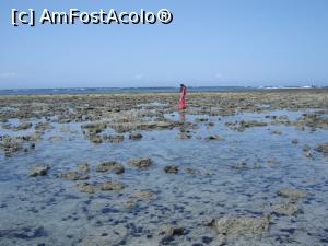[P27] am ajuns la bariera de corali » foto by nela b
 - 
<span class="allrVoted glyphicon glyphicon-heart hidden" id="av882666"></span>
<a class="m-l-10 hidden" id="sv882666" onclick="voting_Foto_DelVot(,882666,22360)" role="button">șterge vot <span class="glyphicon glyphicon-remove"></span></a>
<a id="v9882666" class=" c-red"  onclick="voting_Foto_SetVot(882666)" role="button"><span class="glyphicon glyphicon-heart-empty"></span> <b>LIKE</b> = Votează poza</a> <img class="hidden"  id="f882666W9" src="/imagini/loader.gif" border="0" /><span class="AjErrMes hidden" id="e882666ErM"></span>