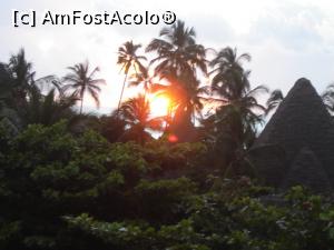 [P06] dimineata pe terasa » foto by nela b
 - 
<span class="allrVoted glyphicon glyphicon-heart hidden" id="av882639"></span>
<a class="m-l-10 hidden" id="sv882639" onclick="voting_Foto_DelVot(,882639,22360)" role="button">șterge vot <span class="glyphicon glyphicon-remove"></span></a>
<a id="v9882639" class=" c-red"  onclick="voting_Foto_SetVot(882639)" role="button"><span class="glyphicon glyphicon-heart-empty"></span> <b>LIKE</b> = Votează poza</a> <img class="hidden"  id="f882639W9" src="/imagini/loader.gif" border="0" /><span class="AjErrMes hidden" id="e882639ErM"></span>