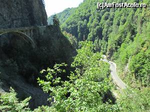 [P01] Transfagarasanul in apropiere de Valea lui Stan » foto by Testosu'
 - 
<span class="allrVoted glyphicon glyphicon-heart hidden" id="av637079"></span>
<a class="m-l-10 hidden" id="sv637079" onclick="voting_Foto_DelVot(,637079,22380)" role="button">șterge vot <span class="glyphicon glyphicon-remove"></span></a>
<a id="v9637079" class=" c-red"  onclick="voting_Foto_SetVot(637079)" role="button"><span class="glyphicon glyphicon-heart-empty"></span> <b>LIKE</b> = Votează poza</a> <img class="hidden"  id="f637079W9" src="/imagini/loader.gif" border="0" /><span class="AjErrMes hidden" id="e637079ErM"></span>