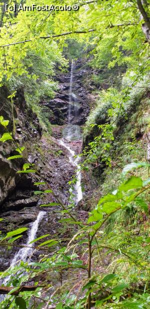 [P06] Cascada si natura. » foto by VasiuM
 - 
<span class="allrVoted glyphicon glyphicon-heart hidden" id="av1176256"></span>
<a class="m-l-10 hidden" id="sv1176256" onclick="voting_Foto_DelVot(,1176256,22380)" role="button">șterge vot <span class="glyphicon glyphicon-remove"></span></a>
<a id="v91176256" class=" c-red"  onclick="voting_Foto_SetVot(1176256)" role="button"><span class="glyphicon glyphicon-heart-empty"></span> <b>LIKE</b> = Votează poza</a> <img class="hidden"  id="f1176256W9" src="/imagini/loader.gif" border="0" /><span class="AjErrMes hidden" id="e1176256ErM"></span>