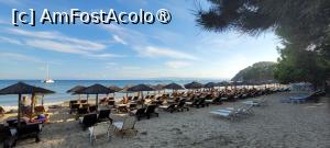 [P14] Plaja Koukounaries, Skiathos » foto by vlado2
 - 
<span class="allrVoted glyphicon glyphicon-heart hidden" id="av1522088"></span>
<a class="m-l-10 hidden" id="sv1522088" onclick="voting_Foto_DelVot(,1522088,22413)" role="button">șterge vot <span class="glyphicon glyphicon-remove"></span></a>
<a id="v91522088" class=" c-red"  onclick="voting_Foto_SetVot(1522088)" role="button"><span class="glyphicon glyphicon-heart-empty"></span> <b>LIKE</b> = Votează poza</a> <img class="hidden"  id="f1522088W9" src="/imagini/loader.gif" border="0" /><span class="AjErrMes hidden" id="e1522088ErM"></span>