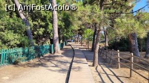 [P05] Plaja Koukounaries, Skiathos » foto by vlado2
 - 
<span class="allrVoted glyphicon glyphicon-heart hidden" id="av1522079"></span>
<a class="m-l-10 hidden" id="sv1522079" onclick="voting_Foto_DelVot(,1522079,22413)" role="button">șterge vot <span class="glyphicon glyphicon-remove"></span></a>
<a id="v91522079" class=" c-red"  onclick="voting_Foto_SetVot(1522079)" role="button"><span class="glyphicon glyphicon-heart-empty"></span> <b>LIKE</b> = Votează poza</a> <img class="hidden"  id="f1522079W9" src="/imagini/loader.gif" border="0" /><span class="AjErrMes hidden" id="e1522079ErM"></span>