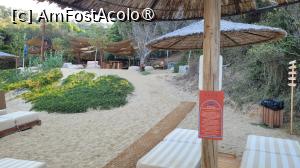 [P17] Barul de pe plaja Banana Mică, Skiathos » foto by vlado2
 - 
<span class="allrVoted glyphicon glyphicon-heart hidden" id="av1523204"></span>
<a class="m-l-10 hidden" id="sv1523204" onclick="voting_Foto_DelVot(,1523204,22413)" role="button">șterge vot <span class="glyphicon glyphicon-remove"></span></a>
<a id="v91523204" class=" c-red"  onclick="voting_Foto_SetVot(1523204)" role="button"><span class="glyphicon glyphicon-heart-empty"></span> <b>LIKE</b> = Votează poza</a> <img class="hidden"  id="f1523204W9" src="/imagini/loader.gif" border="0" /><span class="AjErrMes hidden" id="e1523204ErM"></span>