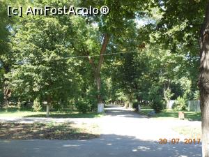 [P15] Oltenița - Parcul Mare, cel mai întins parc din oraș.  » foto by iulianic
 - 
<span class="allrVoted glyphicon glyphicon-heart hidden" id="av884749"></span>
<a class="m-l-10 hidden" id="sv884749" onclick="voting_Foto_DelVot(,884749,22428)" role="button">șterge vot <span class="glyphicon glyphicon-remove"></span></a>
<a id="v9884749" class=" c-red"  onclick="voting_Foto_SetVot(884749)" role="button"><span class="glyphicon glyphicon-heart-empty"></span> <b>LIKE</b> = Votează poza</a> <img class="hidden"  id="f884749W9" src="/imagini/loader.gif" border="0" /><span class="AjErrMes hidden" id="e884749ErM"></span>