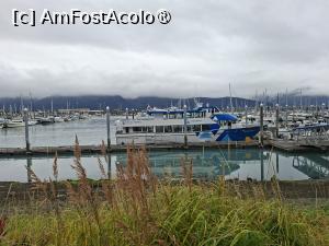 [P23]  -- <small>// FĂRĂ DESCRIERE</small> » foto by robert
 - 
<span class="allrVoted glyphicon glyphicon-heart hidden" id="av1510568"></span>
<a class="m-l-10 hidden" id="sv1510568" onclick="voting_Foto_DelVot(,1510568,22462)" role="button">șterge vot <span class="glyphicon glyphicon-remove"></span></a>
<a id="v91510568" class=" c-red"  onclick="voting_Foto_SetVot(1510568)" role="button"><span class="glyphicon glyphicon-heart-empty"></span> <b>LIKE</b> = Votează poza</a> <img class="hidden"  id="f1510568W9" src="/imagini/loader.gif" border="0" /><span class="AjErrMes hidden" id="e1510568ErM"></span>