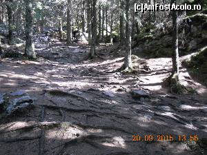 [P05] prin padure spre Pietre » foto by zlatna
 - 
<span class="allrVoted glyphicon glyphicon-heart hidden" id="av685839"></span>
<a class="m-l-10 hidden" id="sv685839" onclick="voting_Foto_DelVot(,685839,22474)" role="button">șterge vot <span class="glyphicon glyphicon-remove"></span></a>
<a id="v9685839" class=" c-red"  onclick="voting_Foto_SetVot(685839)" role="button"><span class="glyphicon glyphicon-heart-empty"></span> <b>LIKE</b> = Votează poza</a> <img class="hidden"  id="f685839W9" src="/imagini/loader.gif" border="0" /><span class="AjErrMes hidden" id="e685839ErM"></span>