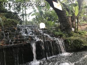 [P12] Cascadă și un mic iaz cu pești, Palios  Milos » foto by krisstinna
 - 
<span class="allrVoted glyphicon glyphicon-heart hidden" id="av889335"></span>
<a class="m-l-10 hidden" id="sv889335" onclick="voting_Foto_DelVot(,889335,22481)" role="button">șterge vot <span class="glyphicon glyphicon-remove"></span></a>
<a id="v9889335" class=" c-red"  onclick="voting_Foto_SetVot(889335)" role="button"><span class="glyphicon glyphicon-heart-empty"></span> <b>LIKE</b> = Votează poza</a> <img class="hidden"  id="f889335W9" src="/imagini/loader.gif" border="0" /><span class="AjErrMes hidden" id="e889335ErM"></span>