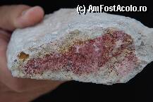 [P23]  -- <small>// FĂRĂ DESCRIERE</small> » foto by mariana
 - 
<span class="allrVoted glyphicon glyphicon-heart hidden" id="av17015"></span>
<a class="m-l-10 hidden" id="sv17015" onclick="voting_Foto_DelVot(,17015,22492)" role="button">șterge vot <span class="glyphicon glyphicon-remove"></span></a>
<a id="v917015" class=" c-red"  onclick="voting_Foto_SetVot(17015)" role="button"><span class="glyphicon glyphicon-heart-empty"></span> <b>LIKE</b> = Votează poza</a> <img class="hidden"  id="f17015W9" src="/imagini/loader.gif" border="0" /><span class="AjErrMes hidden" id="e17015ErM"></span>