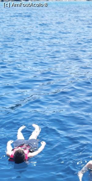 [P18] Banu mic » foto by raluca banu
 - 
<span class="allrVoted glyphicon glyphicon-heart hidden" id="av1502063"></span>
<a class="m-l-10 hidden" id="sv1502063" onclick="voting_Foto_DelVot(,1502063,22554)" role="button">șterge vot <span class="glyphicon glyphicon-remove"></span></a>
<a id="v91502063" class=" c-red"  onclick="voting_Foto_SetVot(1502063)" role="button"><span class="glyphicon glyphicon-heart-empty"></span> <b>LIKE</b> = Votează poza</a> <img class="hidden"  id="f1502063W9" src="/imagini/loader.gif" border="0" /><span class="AjErrMes hidden" id="e1502063ErM"></span>