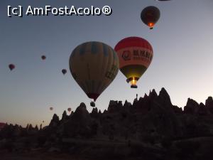 [P17] Şi acestea abia se ridicaseră » foto by irinad
 - 
<span class="allrVoted glyphicon glyphicon-heart hidden" id="av913097"></span>
<a class="m-l-10 hidden" id="sv913097" onclick="voting_Foto_DelVot(,913097,22561)" role="button">șterge vot <span class="glyphicon glyphicon-remove"></span></a>
<a id="v9913097" class=" c-red"  onclick="voting_Foto_SetVot(913097)" role="button"><span class="glyphicon glyphicon-heart-empty"></span> <b>LIKE</b> = Votează poza</a> <img class="hidden"  id="f913097W9" src="/imagini/loader.gif" border="0" /><span class="AjErrMes hidden" id="e913097ErM"></span>