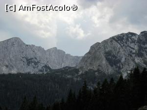 [P40]  -- <small>// FĂRĂ DESCRIERE</small> » foto by Testosu'
 - 
<span class="allrVoted glyphicon glyphicon-heart hidden" id="av895194"></span>
<a class="m-l-10 hidden" id="sv895194" onclick="voting_Foto_DelVot(,895194,22570)" role="button">șterge vot <span class="glyphicon glyphicon-remove"></span></a>
<a id="v9895194" class=" c-red"  onclick="voting_Foto_SetVot(895194)" role="button"><span class="glyphicon glyphicon-heart-empty"></span> <b>LIKE</b> = Votează poza</a> <img class="hidden"  id="f895194W9" src="/imagini/loader.gif" border="0" /><span class="AjErrMes hidden" id="e895194ErM"></span>