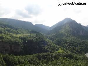 [P08] Acolo unde vegetaţie este ocrotită şi niciodată copacii nu au căzut de topor!  » foto by Marian Preda
 - 
<span class="allrVoted glyphicon glyphicon-heart hidden" id="av588859"></span>
<a class="m-l-10 hidden" id="sv588859" onclick="voting_Foto_DelVot(,588859,22570)" role="button">șterge vot <span class="glyphicon glyphicon-remove"></span></a>
<a id="v9588859" class=" c-red"  onclick="voting_Foto_SetVot(588859)" role="button"><span class="glyphicon glyphicon-heart-empty"></span> <b>LIKE</b> = Votează poza</a> <img class="hidden"  id="f588859W9" src="/imagini/loader.gif" border="0" /><span class="AjErrMes hidden" id="e588859ErM"></span>