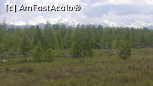 [P28]  -- <small>// FĂRĂ DESCRIERE</small> » foto by ANILU
 - 
<span class="allrVoted glyphicon glyphicon-heart hidden" id="av1070099"></span>
<a class="m-l-10 hidden" id="sv1070099" onclick="voting_Foto_DelVot(,1070099,22572)" role="button">șterge vot <span class="glyphicon glyphicon-remove"></span></a>
<a id="v91070099" class=" c-red"  onclick="voting_Foto_SetVot(1070099)" role="button"><span class="glyphicon glyphicon-heart-empty"></span> <b>LIKE</b> = Votează poza</a> <img class="hidden"  id="f1070099W9" src="/imagini/loader.gif" border="0" /><span class="AjErrMes hidden" id="e1070099ErM"></span>