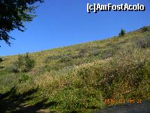 [P14] Piatra Craivii - păşunea subalpină, cu vegetaţie specifică zonelor stâncoase. » foto by creivean
 - 
<span class="allrVoted glyphicon glyphicon-heart hidden" id="av266481"></span>
<a class="m-l-10 hidden" id="sv266481" onclick="voting_Foto_DelVot(,266481,22584)" role="button">șterge vot <span class="glyphicon glyphicon-remove"></span></a>
<a id="v9266481" class=" c-red"  onclick="voting_Foto_SetVot(266481)" role="button"><span class="glyphicon glyphicon-heart-empty"></span> <b>LIKE</b> = Votează poza</a> <img class="hidden"  id="f266481W9" src="/imagini/loader.gif" border="0" /><span class="AjErrMes hidden" id="e266481ErM"></span>
