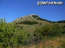 [P34] Piatra Craivii. » foto by creivean
 - 
<span class="allrVoted glyphicon glyphicon-heart hidden" id="av266502"></span>
<a class="m-l-10 hidden" id="sv266502" onclick="voting_Foto_DelVot(,266502,22584)" role="button">șterge vot <span class="glyphicon glyphicon-remove"></span></a>
<a id="v9266502" class=" c-red"  onclick="voting_Foto_SetVot(266502)" role="button"><span class="glyphicon glyphicon-heart-empty"></span> <b>LIKE</b> = Votează poza</a> <img class="hidden"  id="f266502W9" src="/imagini/loader.gif" border="0" /><span class="AjErrMes hidden" id="e266502ErM"></span>