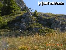 [P44] Piatra Craivii. » foto by creivean
 - 
<span class="allrVoted glyphicon glyphicon-heart hidden" id="av266512"></span>
<a class="m-l-10 hidden" id="sv266512" onclick="voting_Foto_DelVot(,266512,22584)" role="button">șterge vot <span class="glyphicon glyphicon-remove"></span></a>
<a id="v9266512" class=" c-red"  onclick="voting_Foto_SetVot(266512)" role="button"><span class="glyphicon glyphicon-heart-empty"></span> <b>LIKE</b> = Votează poza</a> <img class="hidden"  id="f266512W9" src="/imagini/loader.gif" border="0" /><span class="AjErrMes hidden" id="e266512ErM"></span>