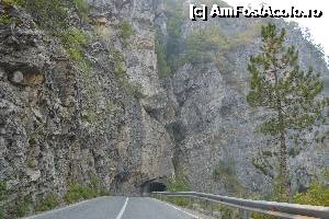 [P06] Canionul Tara din Parcul Durmitor » foto by sigcristina
 - 
<span class="allrVoted glyphicon glyphicon-heart hidden" id="av360875"></span>
<a class="m-l-10 hidden" id="sv360875" onclick="voting_Foto_DelVot(,360875,22604)" role="button">șterge vot <span class="glyphicon glyphicon-remove"></span></a>
<a id="v9360875" class=" c-red"  onclick="voting_Foto_SetVot(360875)" role="button"><span class="glyphicon glyphicon-heart-empty"></span> <b>LIKE</b> = Votează poza</a> <img class="hidden"  id="f360875W9" src="/imagini/loader.gif" border="0" /><span class="AjErrMes hidden" id="e360875ErM"></span>