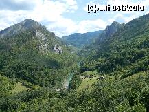 P10 [SEP-2011] Peisaj de vis muntenegrean, in Canionul Tara din Durmitor Park