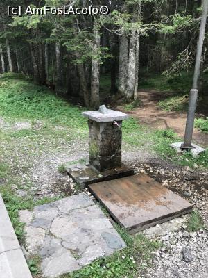 [P15] Prin Durmitor » foto by krisstinna
 - 
<span class="allrVoted glyphicon glyphicon-heart hidden" id="av1106053"></span>
<a class="m-l-10 hidden" id="sv1106053" onclick="voting_Foto_DelVot(,1106053,22604)" role="button">șterge vot <span class="glyphicon glyphicon-remove"></span></a>
<a id="v91106053" class=" c-red"  onclick="voting_Foto_SetVot(1106053)" role="button"><span class="glyphicon glyphicon-heart-empty"></span> <b>LIKE</b> = Votează poza</a> <img class="hidden"  id="f1106053W9" src="/imagini/loader.gif" border="0" /><span class="AjErrMes hidden" id="e1106053ErM"></span>