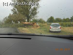 [P27] Pe șoseaua Corabia - Alexandria, arbori doborâți de furtună.  » foto by iulianic
 - 
<span class="allrVoted glyphicon glyphicon-heart hidden" id="av898246"></span>
<a class="m-l-10 hidden" id="sv898246" onclick="voting_Foto_DelVot(,898246,22667)" role="button">șterge vot <span class="glyphicon glyphicon-remove"></span></a>
<a id="v9898246" class=" c-red"  onclick="voting_Foto_SetVot(898246)" role="button"><span class="glyphicon glyphicon-heart-empty"></span> <b>LIKE</b> = Votează poza</a> <img class="hidden"  id="f898246W9" src="/imagini/loader.gif" border="0" /><span class="AjErrMes hidden" id="e898246ErM"></span>
