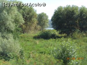 [P28] Zimnicea - Lunca Dunării.  » foto by iulianic
 - 
<span class="allrVoted glyphicon glyphicon-heart hidden" id="av895621"></span>
<a class="m-l-10 hidden" id="sv895621" onclick="voting_Foto_DelVot(,895621,22671)" role="button">șterge vot <span class="glyphicon glyphicon-remove"></span></a>
<a id="v9895621" class=" c-red"  onclick="voting_Foto_SetVot(895621)" role="button"><span class="glyphicon glyphicon-heart-empty"></span> <b>LIKE</b> = Votează poza</a> <img class="hidden"  id="f895621W9" src="/imagini/loader.gif" border="0" /><span class="AjErrMes hidden" id="e895621ErM"></span>