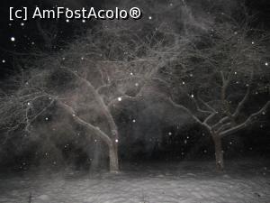 [P17] La ceas de seara » foto by Testosu'
 - 
<span class="allrVoted glyphicon glyphicon-heart hidden" id="av934506"></span>
<a class="m-l-10 hidden" id="sv934506" onclick="voting_Foto_DelVot(,934506,22695)" role="button">șterge vot <span class="glyphicon glyphicon-remove"></span></a>
<a id="v9934506" class=" c-red"  onclick="voting_Foto_SetVot(934506)" role="button"><span class="glyphicon glyphicon-heart-empty"></span> <b>LIKE</b> = Votează poza</a> <img class="hidden"  id="f934506W9" src="/imagini/loader.gif" border="0" /><span class="AjErrMes hidden" id="e934506ErM"></span>